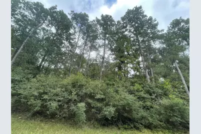 0 Corolla Road, Magnolia, TX 77354 - Photo 4