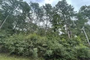 0 Corolla Rd, Magnolia, TX 77354 - Photo 4