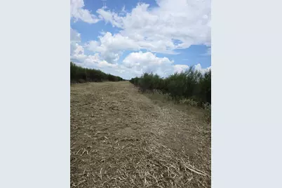 36847 Richard Frey 2-10 Road #10, Hempstead, TX 77445 - Photo 8