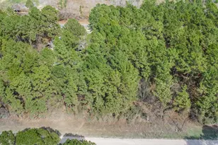 Lot 719 Sand Dollar Dr, Livingston, TX 77351 - Photo 1