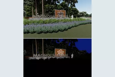 25464 Blossom Court, Montgomery, TX 77316 - Photo 22