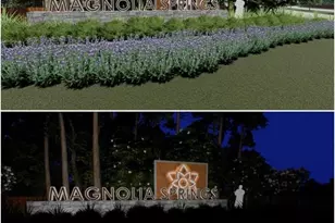 25464 Blossom Ct, Montgomery, TX 77316 - Photo 22