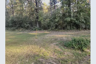 0 Hackberry Drive, Onalaska, TX 77360 - Photo 2