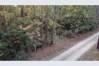 186 Rosanky, Livingston, TX 77351 - Photo 6