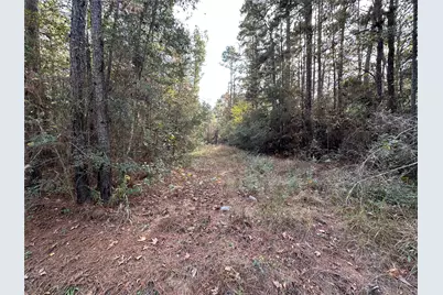 186 Rosanky, Livingston, TX 77351 - Photo 1