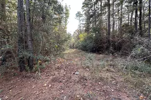 186 Rosanky, Livingston, TX 77351 - Photo 1
