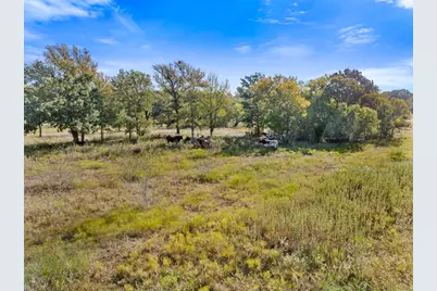 Tbd Cr 185, Anderson, TX 77830 - Photo 6