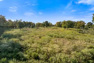Tbd Cr 185, Anderson, TX 77830 - Photo 1
