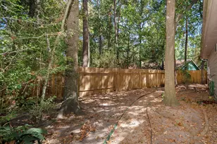 6 S Pineplank Ct, The Woodlands, TX 77381 - Photo 36