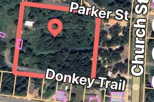 130 Donkey Trail, Coldspring, TX 77331 - Photo 6