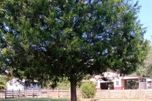 130 Donkey Trail, Coldspring, TX 77331 - Photo 8