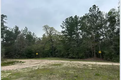 0 Unassigned Name, Willis, TX 77378 - Photo 6