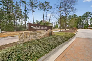 810 Spruce Pine Dr, Willis, TX 77318 - Photo 50