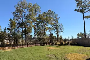 18459 Chameleon Ct, Conroe, TX 77302 - Photo 44