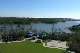 3 Spiral Vine Circle, The Woodlands, TX 77381 - Photo 42