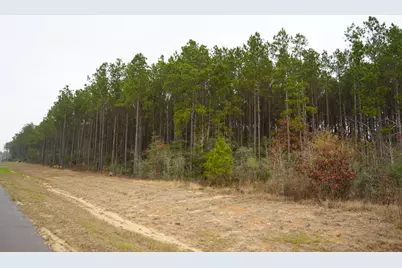 16098 Forest Mill Road, Willis, TX 77378 - Photo 6