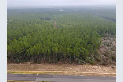 16098 Forest Mill Road, Willis, TX 77378 - Photo 4