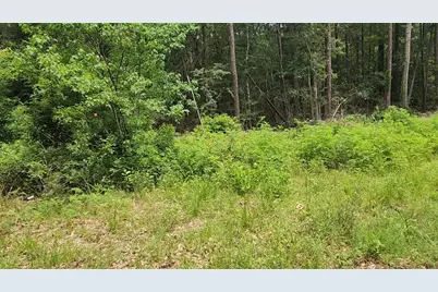 Lot 14 Basswood Lane, Plantersville, TX 77363 - Photo 20