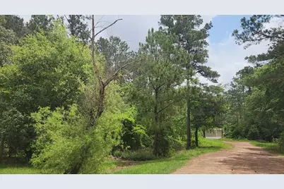 Lot 14 Basswood Lane, Plantersville, TX 77363 - Photo 2