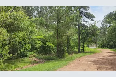 Lot 14 Basswood Lane, Plantersville, TX 77363 - Photo 4