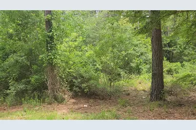 Lot 14 Basswood Lane, Plantersville, TX 77363 - Photo 10