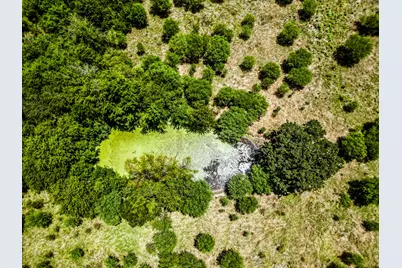 12224 Jinkins Road, North Zulch, TX 77872 - Photo 2