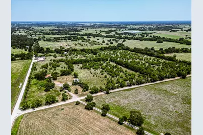 12224 Jinkins Road, North Zulch, TX 77872 - Photo 10