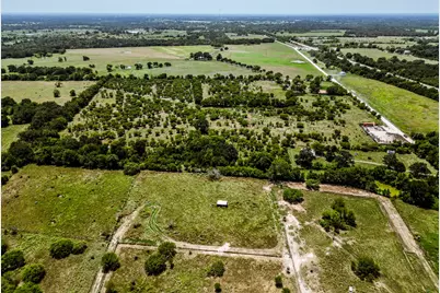 12224 Jinkins Road, North Zulch, TX 77872 - Photo 4
