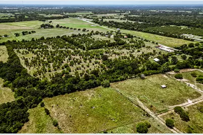 12224 Jinkins Road, North Zulch, TX 77872 - Photo 6