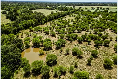 12224 Jinkins Road, North Zulch, TX 77872 - Photo 20
