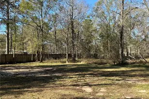 10928 L and M Rd, Montgomery, TX 77316 - Photo 30