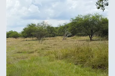 0 County Road 449, West Columbia, TX 77486 - Photo 1