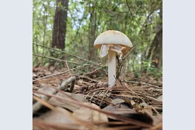 30569 Lake Rd, Waller, TX 77484 - Photo 24