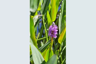 30569 Lake Rd, Waller, TX 77484 - Photo 12