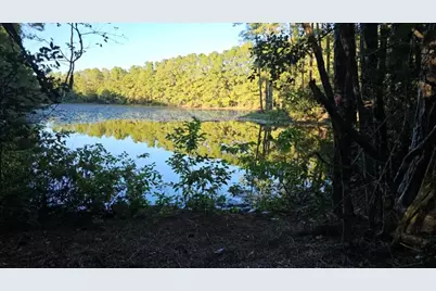 30569 Lake Rd, Waller, TX 77484 - Photo 44