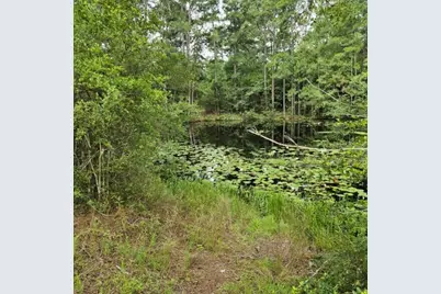 30569 Lake Rd, Waller, TX 77484 - Photo 8