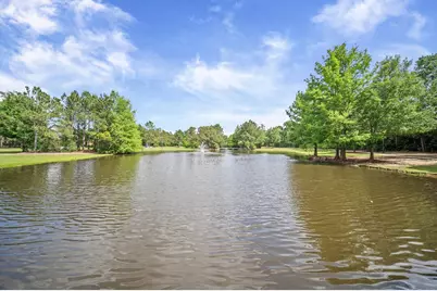 241 W Tupelo Green Circle, Spring, TX 77389 - Photo 48