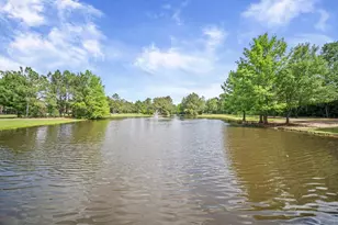 241 W Tupelo Green Cir, Spring, TX 77389 - Photo 48