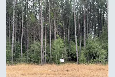 10634 Forest Mill Road, Willis, TX 77378 - Photo 2