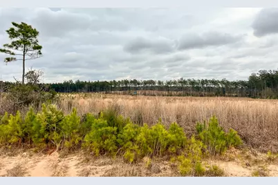 00 Hardin Hideout Rd, Moscow, TX 75960 - Photo 6