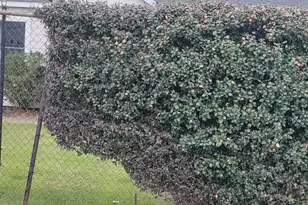 2816 Black St, Houston, TX 77023 - Photo 2