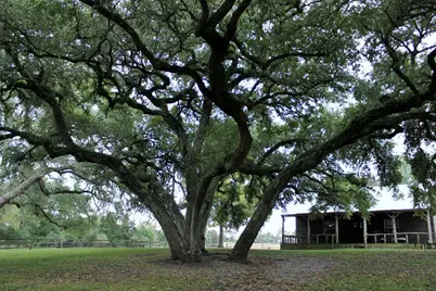 11850 McCrocklin, Brenham, TX 77833 - Photo 2