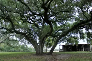 11850 McCrocklin, Brenham, TX 77833 - Photo 2