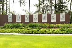 462 Audubons Shearwater Wy, Magnolia, TX 77354 - Photo 4