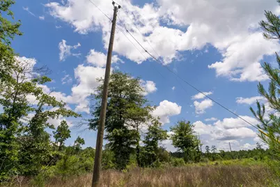 Tbd 18 Cr 4210, Woodville, TX 75979 - Photo 2