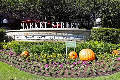 11 Korbel Ct, The Woodlands, TX 77382 - Photo 46