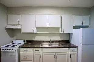 1419 Hawthorne, Houston, TX 77006 - Photo 4