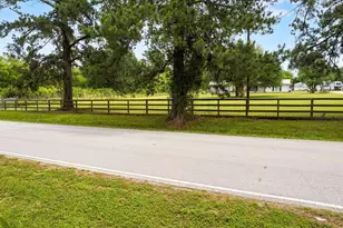 12488 Anderson Rd, Willis, TX 77318 - Photo 6