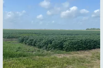 10815 Koym Road, Beasley, TX 77417 - Photo 2