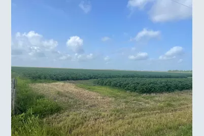 10815 Koym Road, Beasley, TX 77417 - Photo 4
